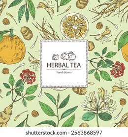 Background with tea, fruits and hearbs, herbal tea: tea leaves, ginseng root, chinese honeysuckle flowers, lonicera pileata, yuzu fruit, citrus junos. Vector hand drawn illustration.