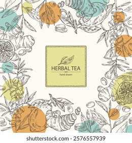 Background with tea, fruits and hearbs, herbal tea: tea leaves, lemon, ginger and sea buckthorn. Vector hand drawn illustration.