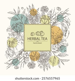 Background with tea, fruits and hearbs, herbal tea: tea leaves, ginseng root, chinese honeysuckle flowers, lonicera pileata, yuzu fruit, citrus junos. Vector hand drawn illustration.