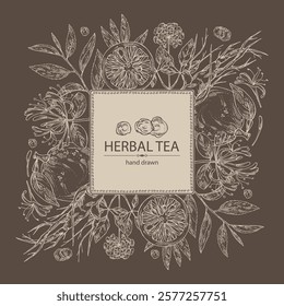 Background with tea, fruits and hearbs, herbal tea: tea leaves, ginseng root, chinese honeysuckle flowers, lonicera pileata, yuzu fruit, citrus junos. Vector hand drawn illustration.