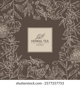 Background with tea, fruits and hearbs, herbal tea: tea leaves, lemon, ginger and sea buckthorn. Vector hand drawn illustration.