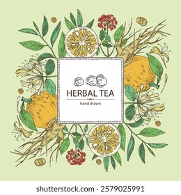 Background with tea, fruits and hearbs, herbal tea: tea leaves, ginseng root, chinese honeysuckle flowers, lonicera pileata, yuzu fruit, citrus junos. Vector hand drawn illustration.