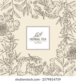 Background with tea, fruits and hearbs, herbal tea: tea leaves, lemon, ginger and sea buckthorn. Vector hand drawn illustration.