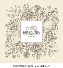 Background with tea, fruits and hearbs, herbal tea: tea leaves, ginseng root, chinese honeysuckle flowers, lonicera pileata, yuzu fruit, citrus junos. Vector hand drawn illustration.