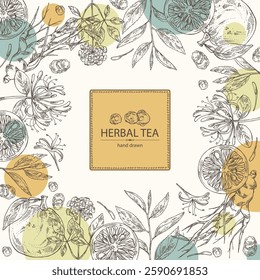 Background with tea, fruits and hearbs, herbal tea: tea leaves, ginseng root, chinese honeysuckle flowers, lonicera pileata, yuzu fruit, citrus junos. Vector hand drawn illustration.