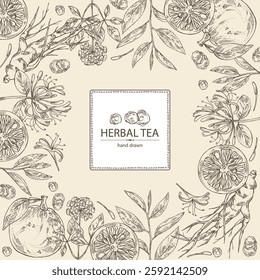 Background with tea, fruits and hearbs, herbal tea: tea leaves, ginseng root, chinese honeysuckle flowers, lonicera pileata, yuzu fruit, citrus junos. Vector hand drawn illustration.