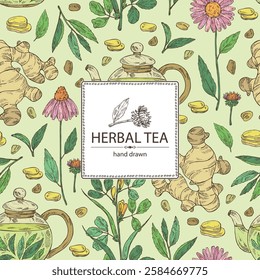 Background with tea and hearbs, herbal tea: tea leaves, ginger root, echinacea and fenugreek. Vector hand drawn illustration.