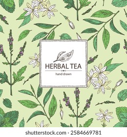 Background with tea and hearbs, herbal tea: tea leaves, melissa, verbena flowering branch and jasmine. Vector hand drawn illustration.