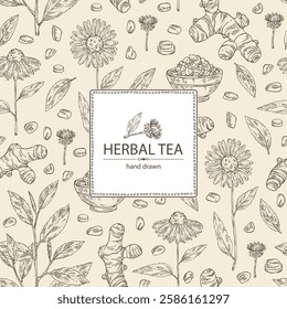 Background with tea and hearbs, herbal tea: tea leaves, turmeric root, echinacea and sea fenugreek. Vector hand drawn illustration.