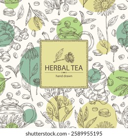 Background with tea and hearbs, herbal tea: tea leaves, ginger root, echinacea and fenugreek. Vector hand drawn illustration.