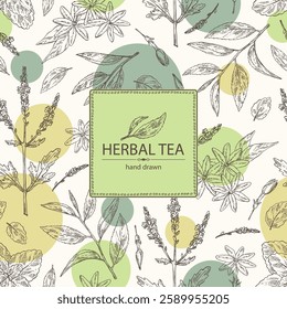 Background with tea and hearbs, herbal tea: tea leaves, melissa, verbena flowering branch and jasmine. Vector hand drawn illustration.