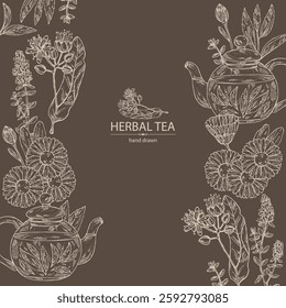 Background with tea and hearbs, herbal tea: tea leaves, linden flower, thyme, calendula. Vector hand drawn illustration.