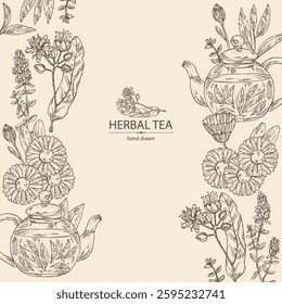 Background with tea and hearbs, herbal tea: tea leaves, linden flower, thyme, calendula. Vector hand drawn illustration.