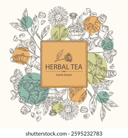 Background with tea and hearbs, herbal tea: tea leaves, turmeric root, echinacea and sea fenugreek. Vector hand drawn illustration.