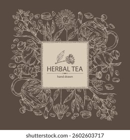 Background with tea and hearbs, herbal tea: tea leaves, ginger root, echinacea and fenugreek. Vector hand drawn illustration.