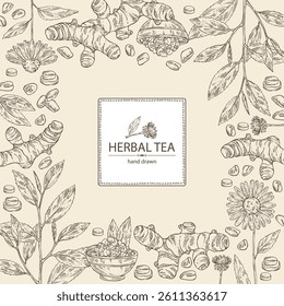 Background with tea and hearbs, herbal tea: tea leaves, turmeric root, echinacea and sea fenugreek. Vector hand drawn illustration.