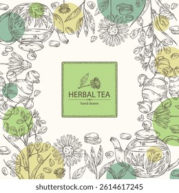 Background with tea and hearbs, herbal tea: tea leaves, ginger root, echinacea and fenugreek. Vector hand drawn illustration.