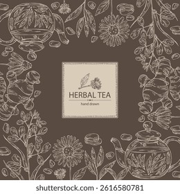 Background with tea and hearbs, herbal tea: tea leaves, ginger root, echinacea and fenugreek. Vector hand drawn illustration.