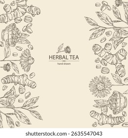 Background with tea and hearbs, herbal tea: tea leaves, turmeric root, echinacea and sea fenugreek. Vector hand drawn illustration.