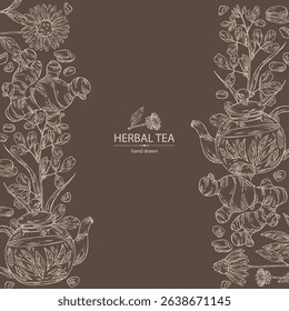 Background with tea and hearbs, herbal tea: tea leaves, ginger root, echinacea and fenugreek. Vector hand drawn illustration.