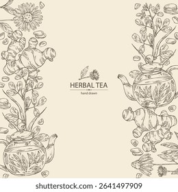Background with tea and hearbs, herbal tea: tea leaves, ginger root, echinacea and fenugreek. Vector hand drawn illustration.