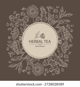 Background with tea and hearbs, herbal tea: tea leaves, turmeric root, echinacea and sea fenugreek. Vector hand drawn illustration.