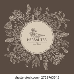 Fondo con té y corazones, té de hierbas: hojas de té, flor de tilo, tomillo, caléndula. Vector dibujado a mano ilustración.