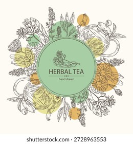 Fondo con té y corazones, té de hierbas: hojas de té, flor de tilo, tomillo, caléndula. Vector dibujado a mano ilustración.