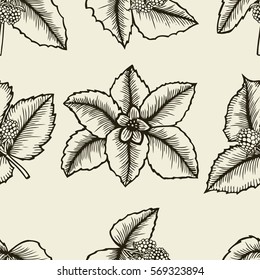 Background with tea leaf. Hand drawn on beige background