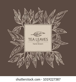 Background with tea leaves. Green tea. Vector hand drawn illustration. 