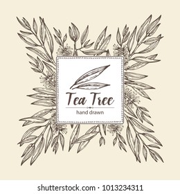 Hintergrund mit Teebaum. Kosmetika und medizinische Anlagen. Vektorillustration handgezeichnet.