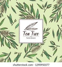 Background with tea tree. Cosmetics and medical plant. Vector hand drawn illustration.