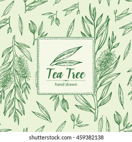 Background with tea tree. Cosmetics and medical plant. hand drawn