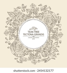 Fondo con árbol de teca: planta de tectona grandis, hojas y trozo de madera árbol de teca. Tectona grandis. Cosmética, perfumería y planta médica. Vector dibujado a mano ilustración