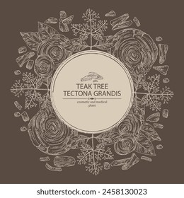 Background with teak tree: tectona grandis plant, leaves and piece of wood teak tree. Tectona grandis. Cosmetic, perfumery and medical plant. Vector hand drawn illustration