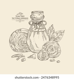 Fondo con árbol de teca: planta de tectona grandis, hojas y trozo de madera árbol de teca y botella de aceite esencial de árbol de teca. Tectona grandis. Cosmética, perfumería, planta. Vector dibujado a mano