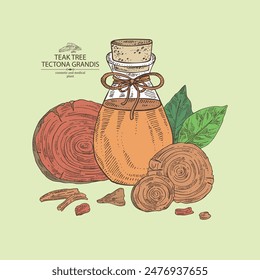 Background with teak tree: tectona grandis plant, leaves and piece of wood teak tree and bottle of teak tree essential oil. Tectona grandis. Cosmetic, perfumery, plant. Vector hand drawn