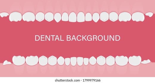 Background with teeth in a row. Human teeth in the gum. Background for dentists, orthodontists. Template with an empty space for text. A flat-style banner. Vector illustration