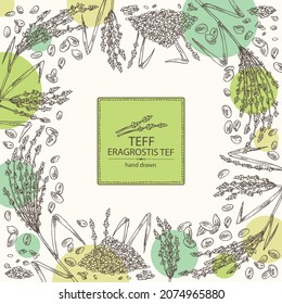 Background with teff: plant , leaves and teff grains. Eragrostis tef. Vector hand drawn illustration.