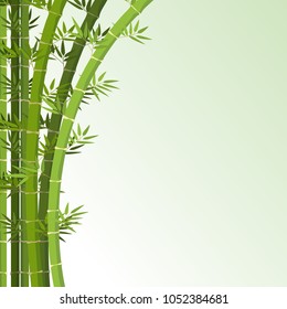 Background template with bamboo trees illustration