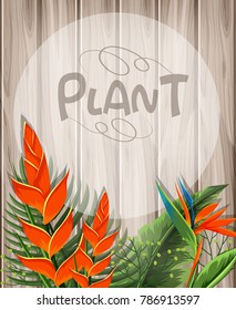 Plantilla de fondo con ilustración de aves de flores del paraíso