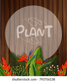 Background template with birdofparadise flowers illustration