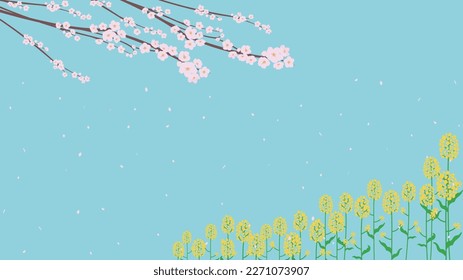 Background template of cherry blossoms and field mustard with dancing petals in spring (blue)