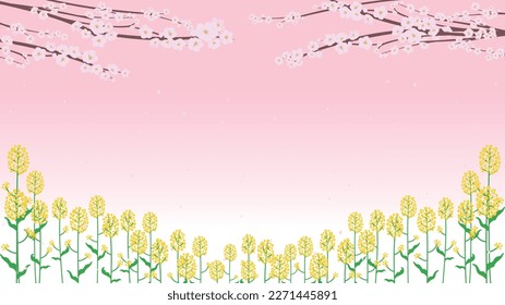 Background template of cherry blossoms and field mustard with dancing petals in spring season (pink)