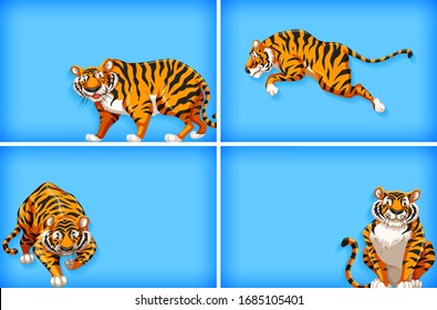 Background template design with plain color and wild tiger illustration