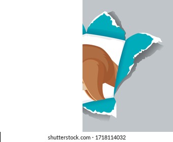 Background template design with wild kangaroo on gray paper illustration