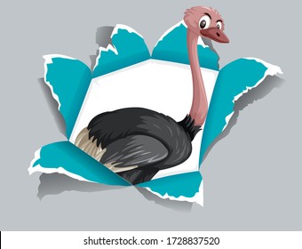 Background template design with wild ostrich running illustration