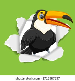 Diseño de plantilla de fondo con pájaro tocan silvestre en la ilustración de papel verde