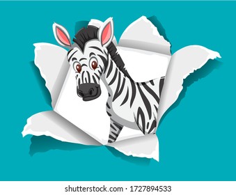 Background template design with wild zebra on blue paper illustration