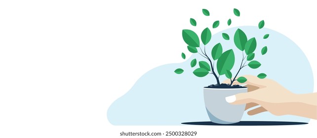 	
Background template, hand holding a growing plant in a pot